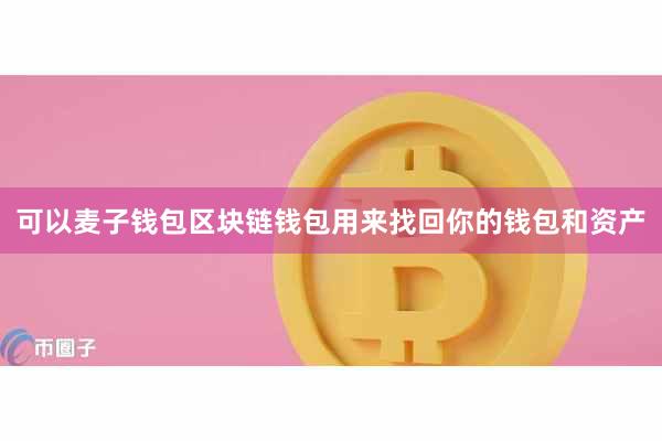 可以麦子钱包区块链钱包用来找回你的钱包和资产