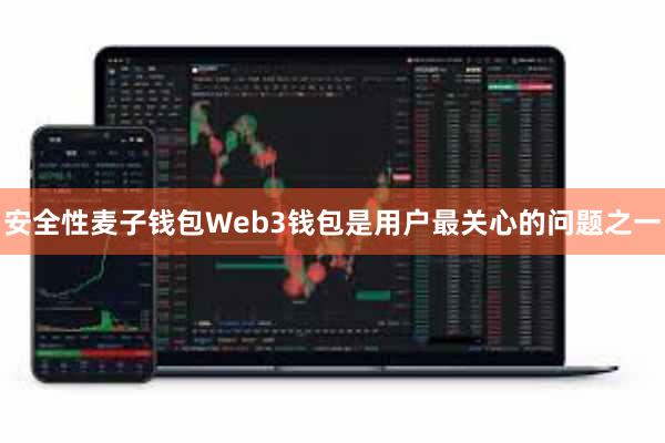 安全性麦子钱包Web3钱包是用户最关心的问题之一